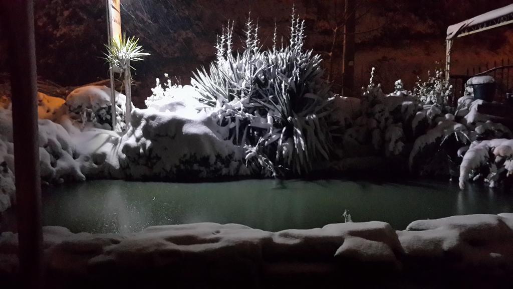 Alesta Butik Otel Şile Luaran gambar